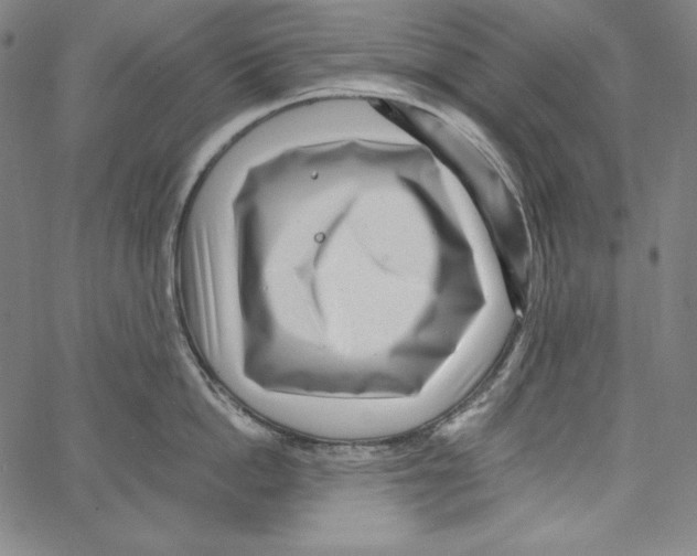 X0000066960862200604211839