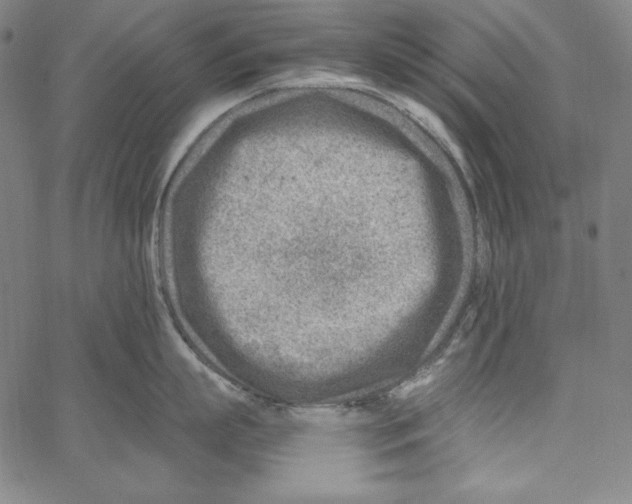 X0000066960863200604211839