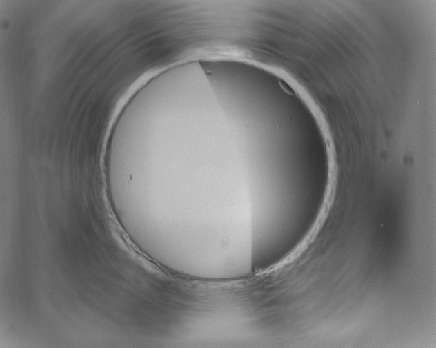 X0000066960864200604211839