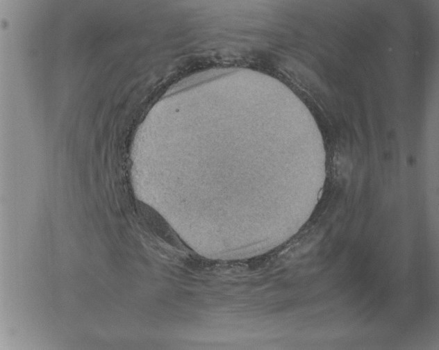 X0000066960865200604211839