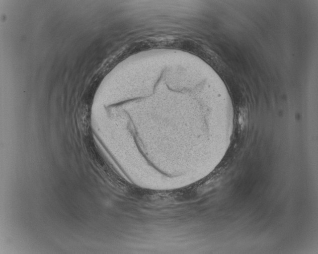 X0000066960867200604211839