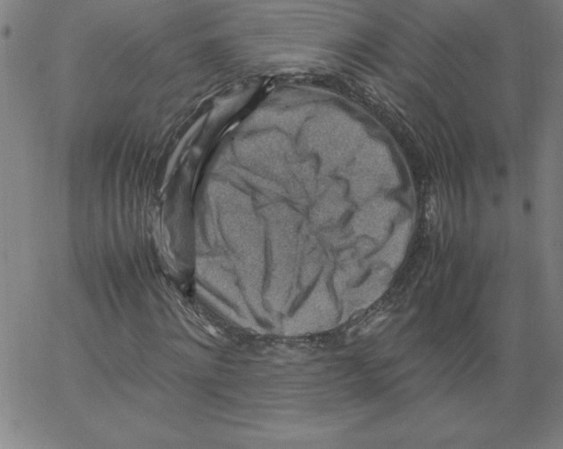 X0000066960868200604211839