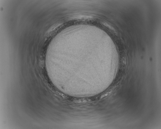 X0000066960869200604211839