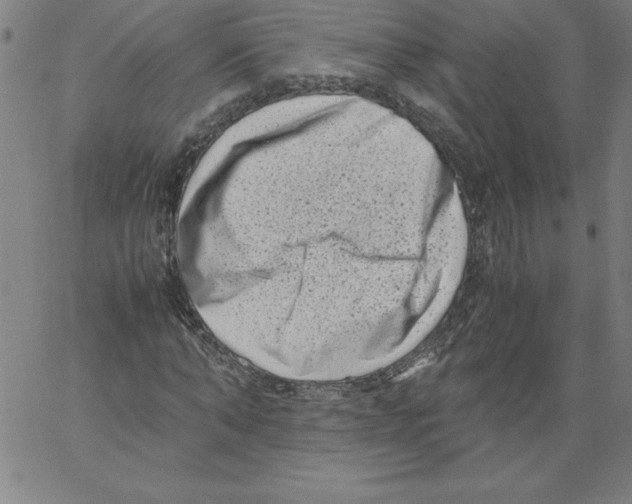 X0000066960870200604211839