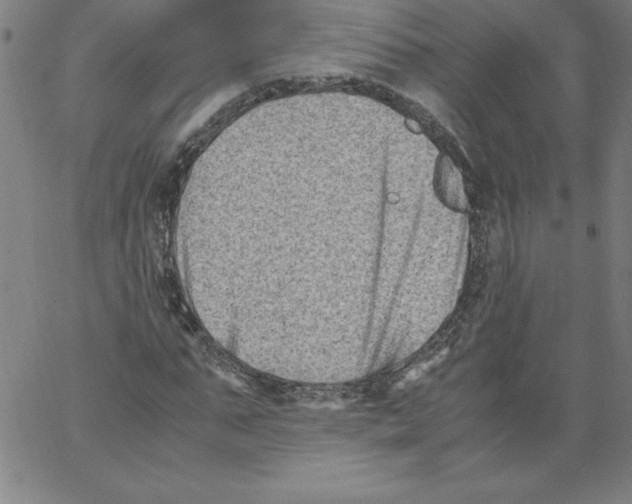 X0000066960871200604211839