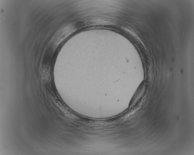 X0000066960873200604211839