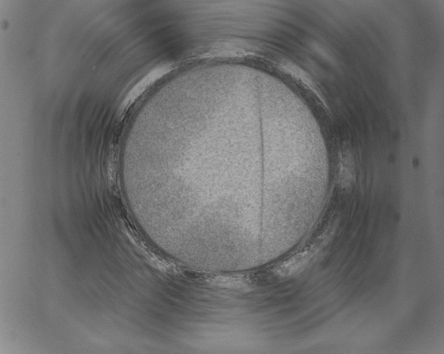 X0000066960874200604211839