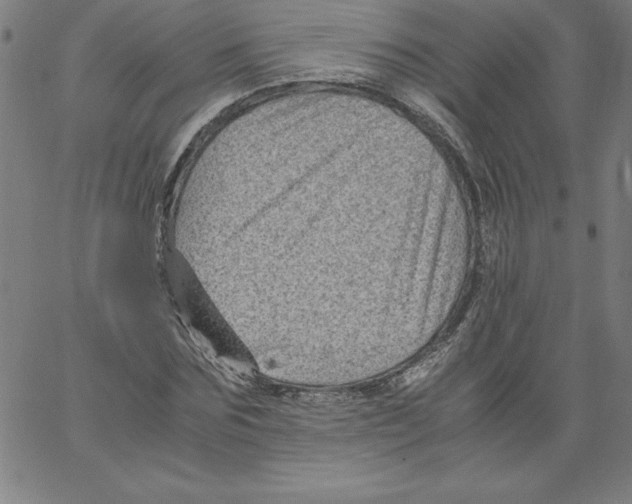 X0000066960875200604211839