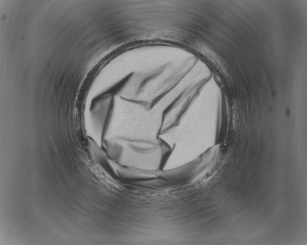 X0000066960876200604211839