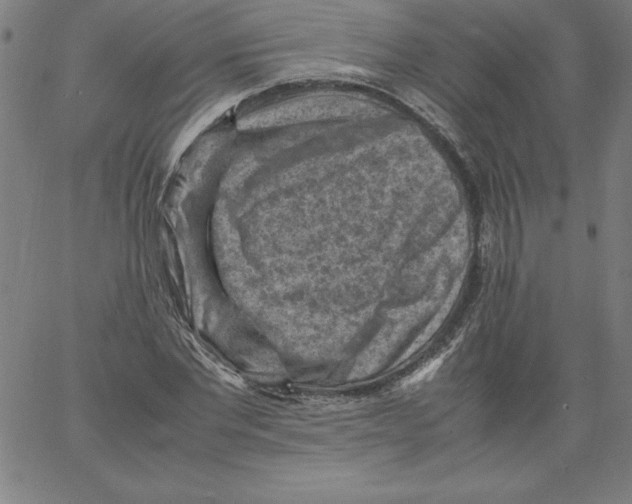 X0000066960877200604211839