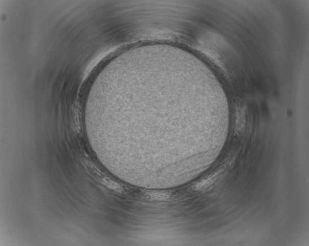 X0000066960878200604211839