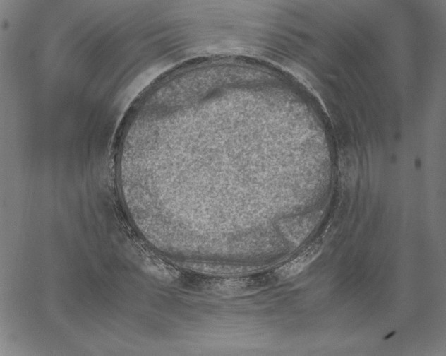 X0000066960879200604211838