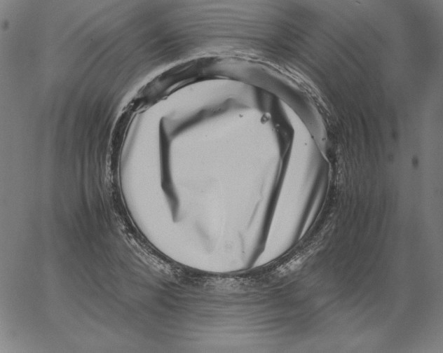 X0000066960880200604211838