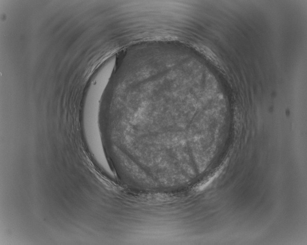 X0000066960881200604211838