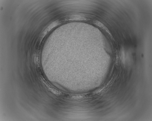 X0000066960882200604211838