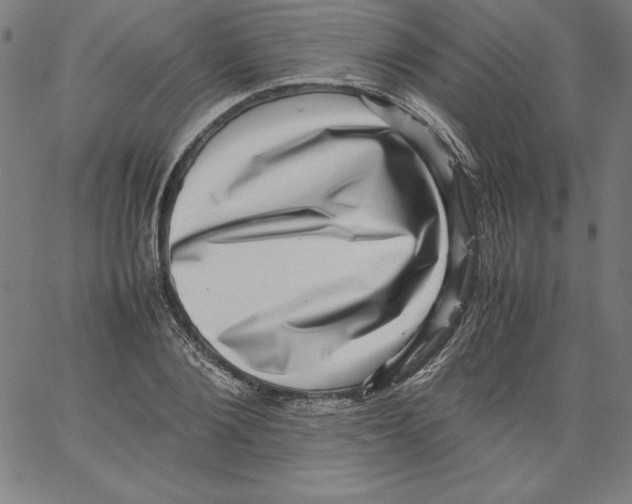 X0000066960884200604211838