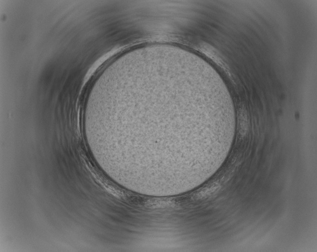 X0000066960886200604211838