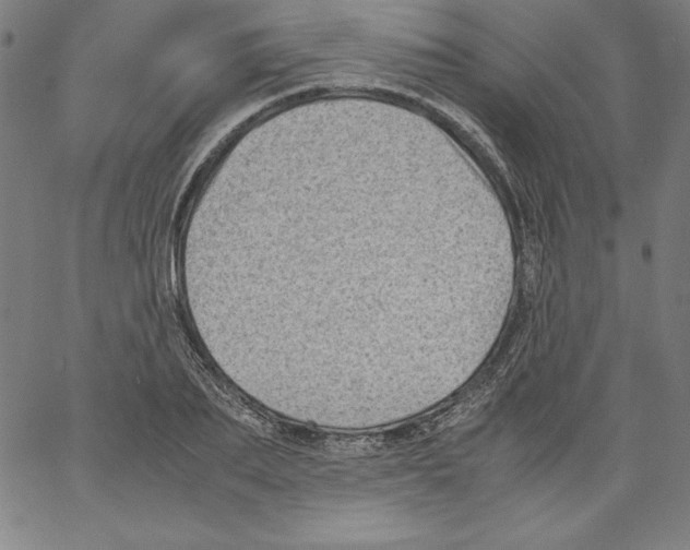 X0000066960887200604211838