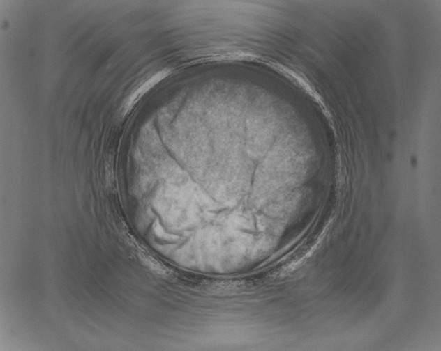 X0000066960889200604211838