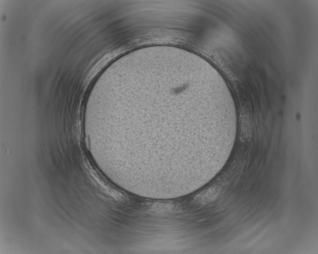 X0000066960890200604211838