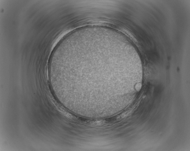 X0000066960891200604211838