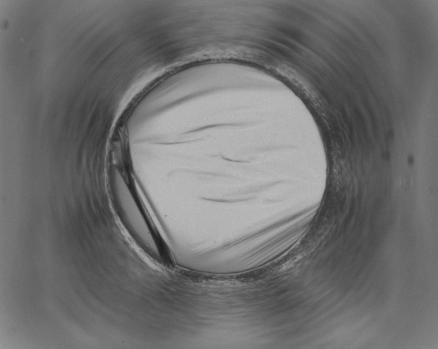 X0000066960894200604211838