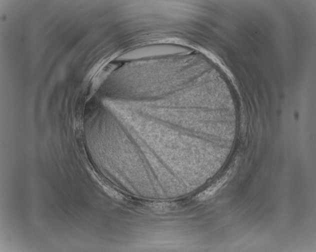 X0000066960897200604211838