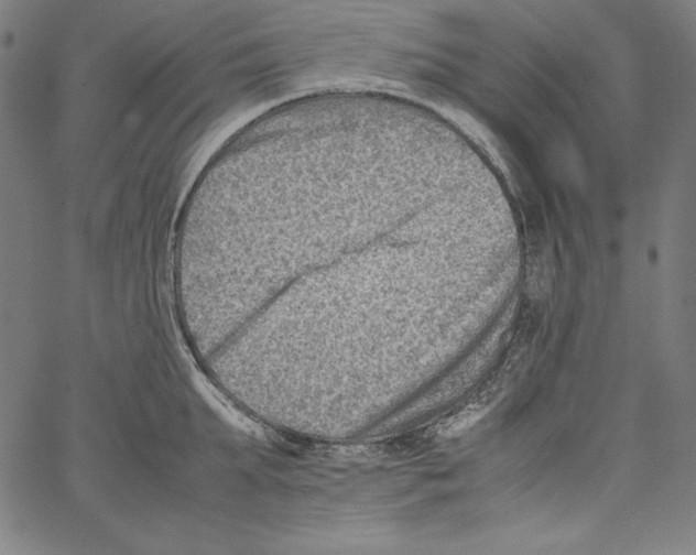 X0000066960903200604211838