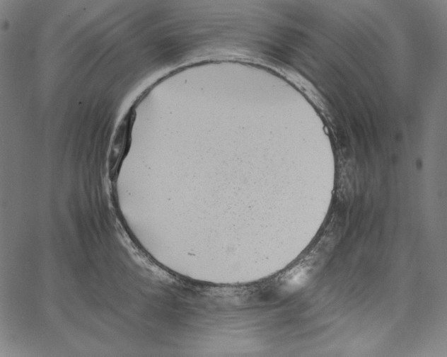 X0000066960904200604211838