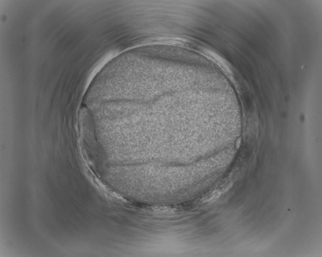 X0000066960907200604211838