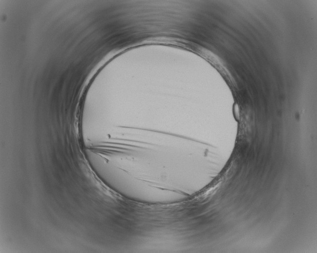 X0000066960908200604211838