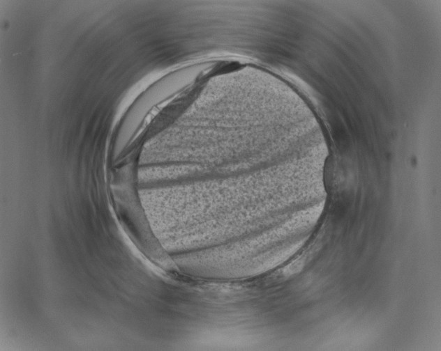 X0000066960910200604211838