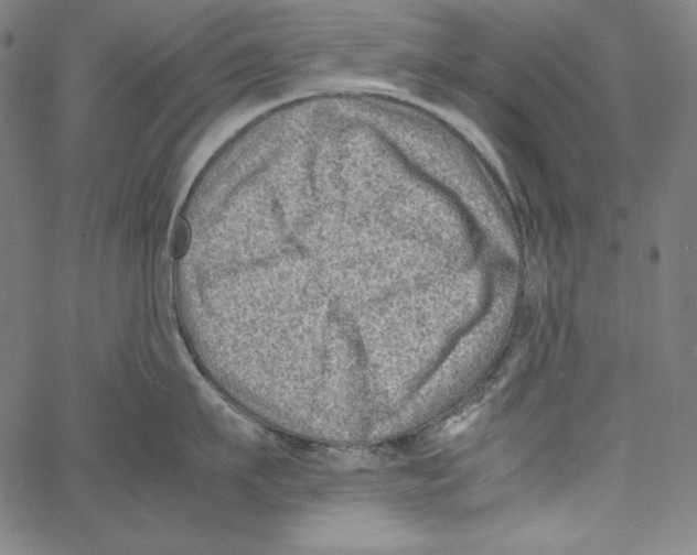 X0000066960911200604211838