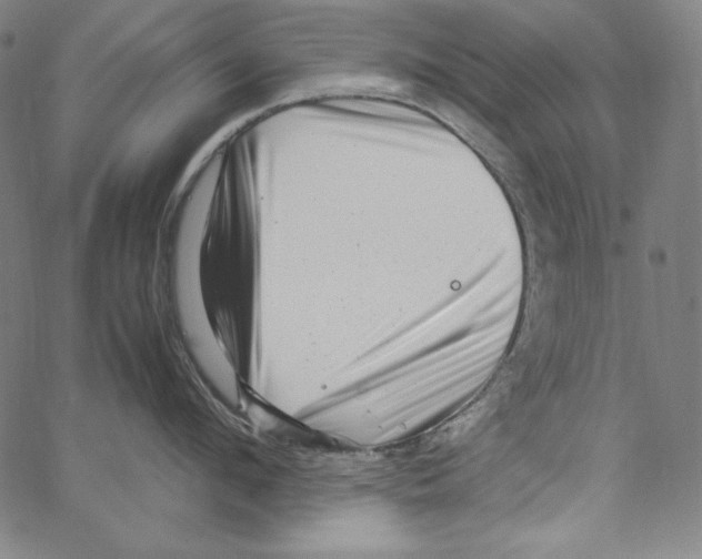 X0000066960912200604211838