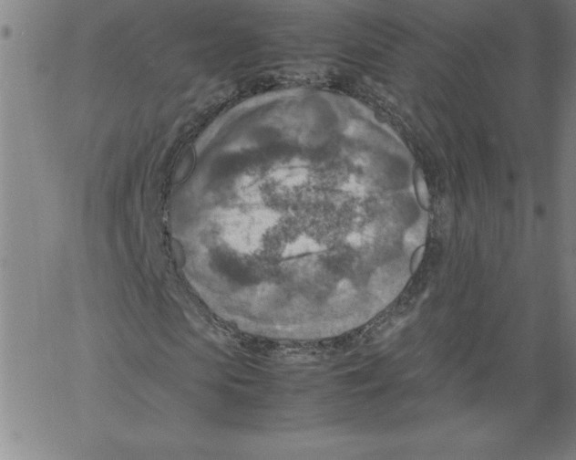 X0000066960913200604211837