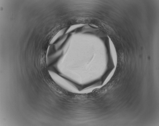 X0000066960914200604211837