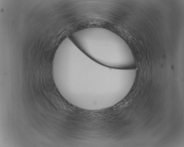 X0000066960916200604211837