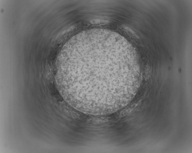 X0000066960917200604211837