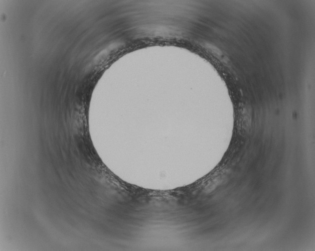 X0000066960918200604211837