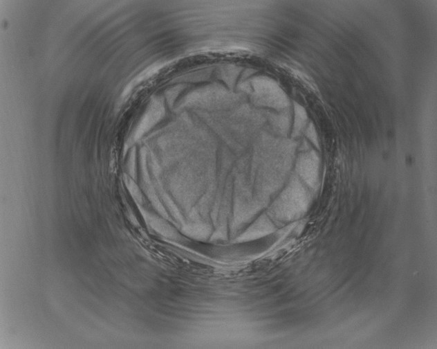 X0000066960920200604211837