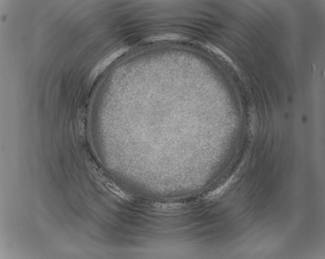 X0000066960921200604211837