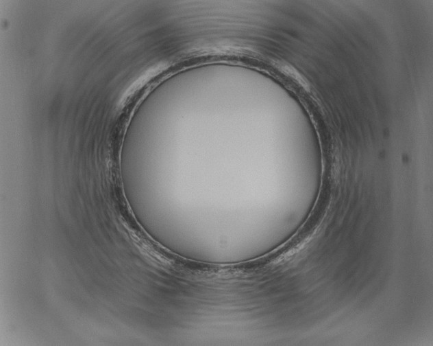 X0000066960922200604211837