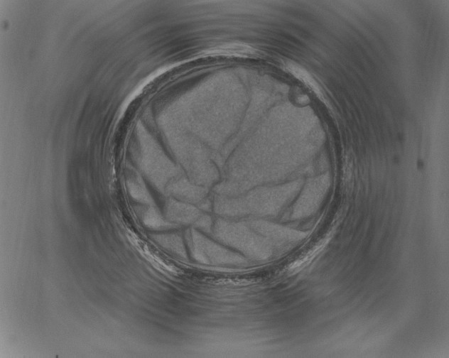 X0000066960923200604211837