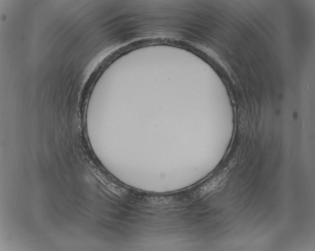 X0000066960927200604211837