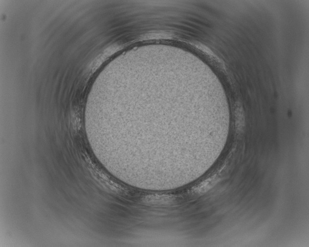 X0000066960929200604211837