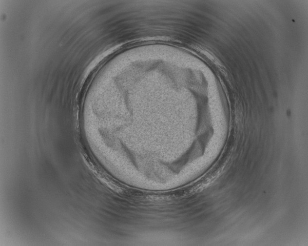 X0000066960933200604211838