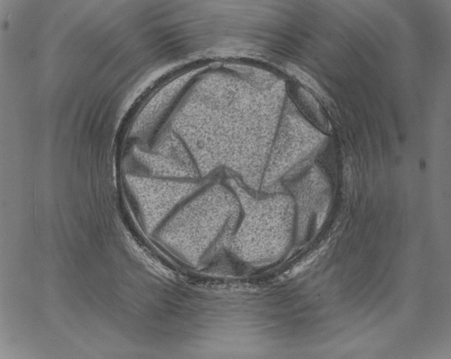 X0000066960934200604211838