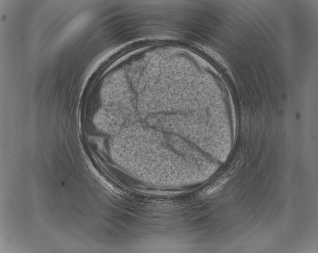 X0000066960935200604211838