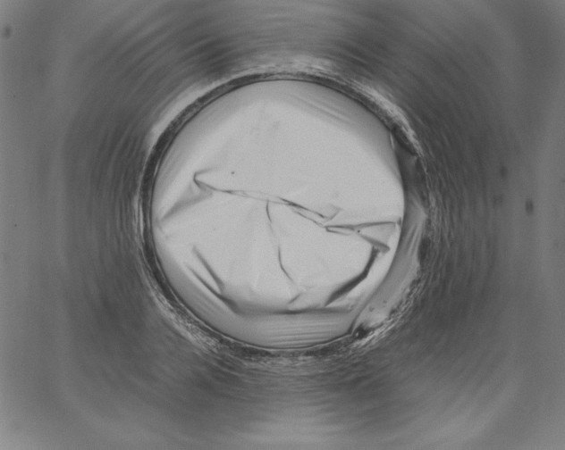 X0000066960936200604211838