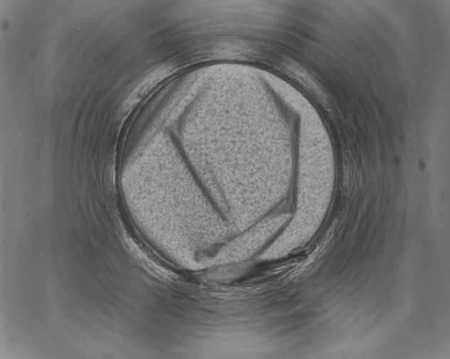 X0000066960938200604211838